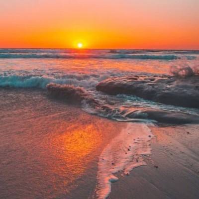 2023澳门资料大全正版手机app下载