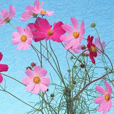 BOB体育登录APP下载截图